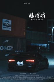 Driving in the Dark