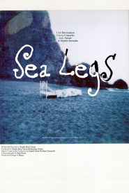 Sea Legs