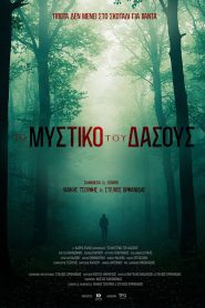 Secret of the Forest