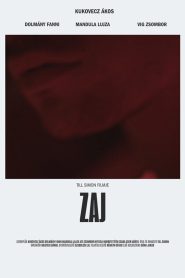 Zaj