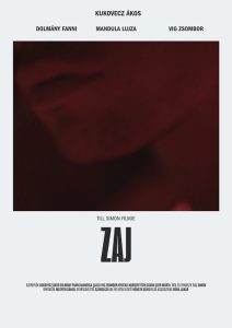 Zaj